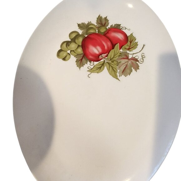 Vintage Royalon Melmac Plates With Fruit Apple Design service for 8 - Picture 3 of 3